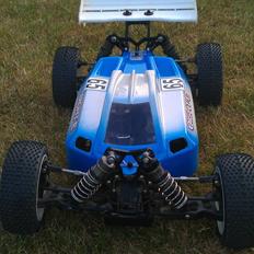 Buggy Losi 8ieght E