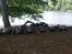 Buggy Ultima sport 4x4 Monster