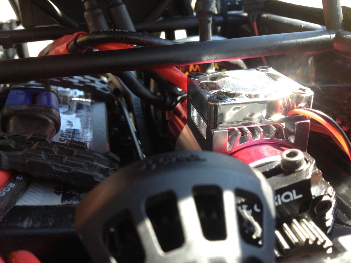 Buggy Exo Terra Kit billede 13