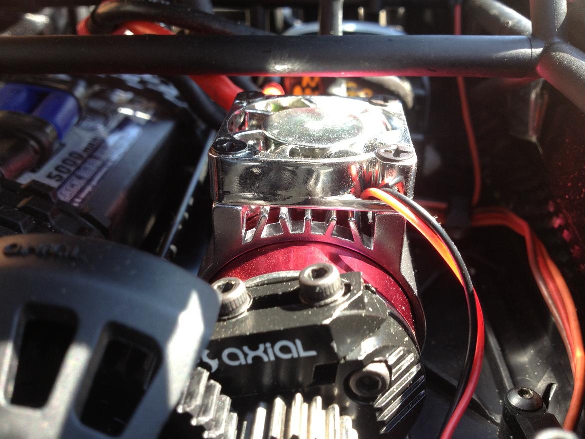 Buggy Exo Terra Kit billede 14