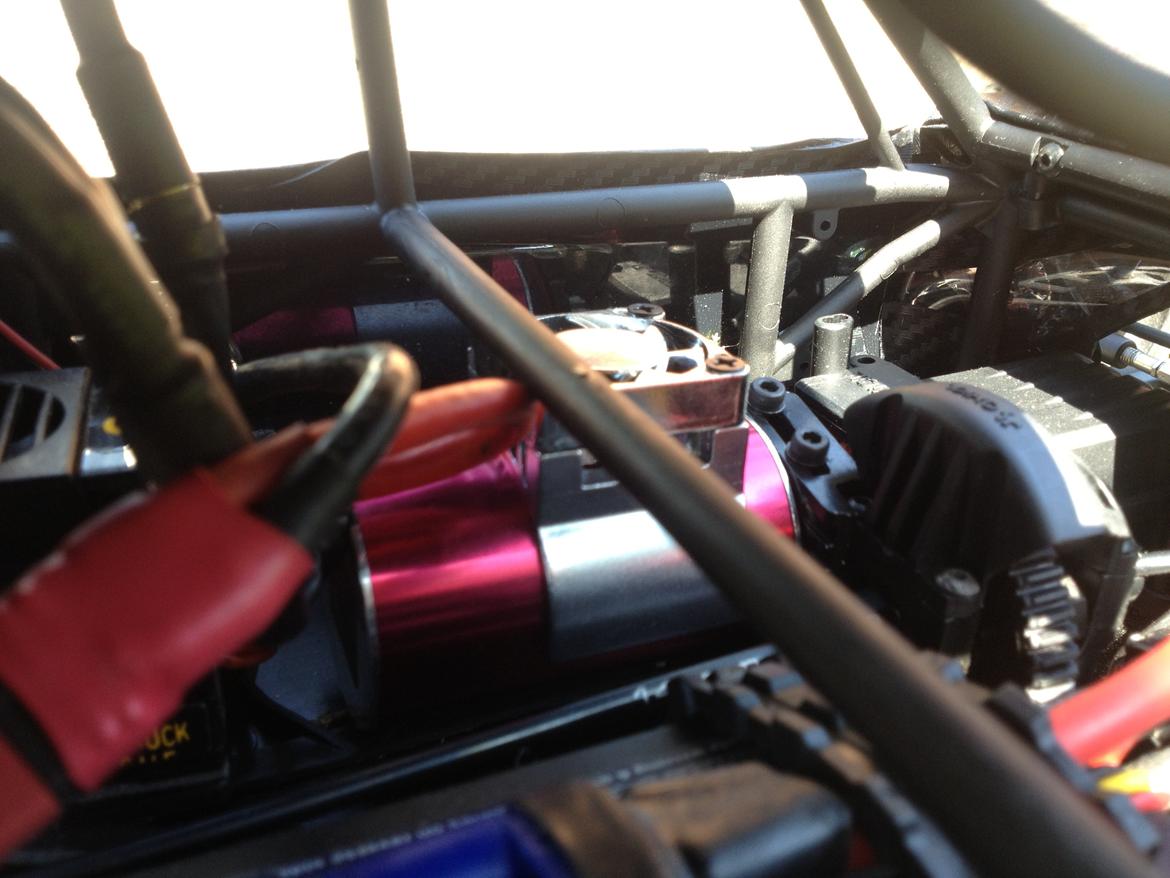 Buggy Exo Terra Kit billede 15