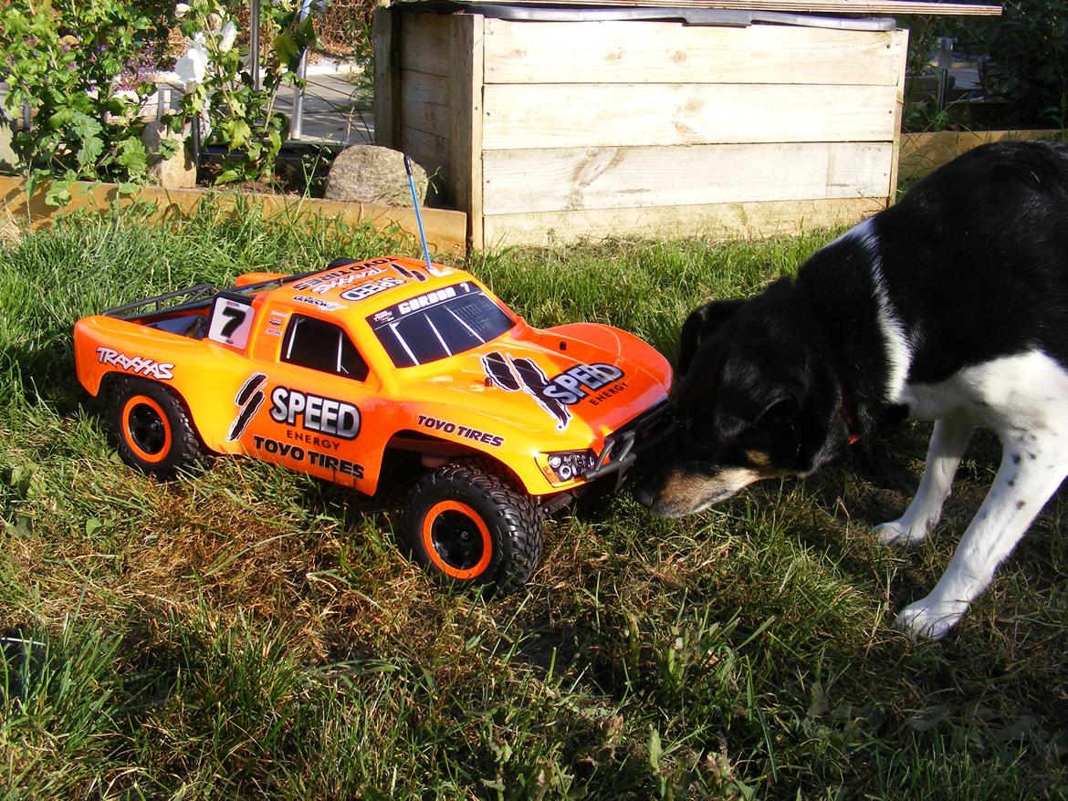 Off-Roader Traxxas Slash 2WD SCT - Robby Gordon Edition billede 20