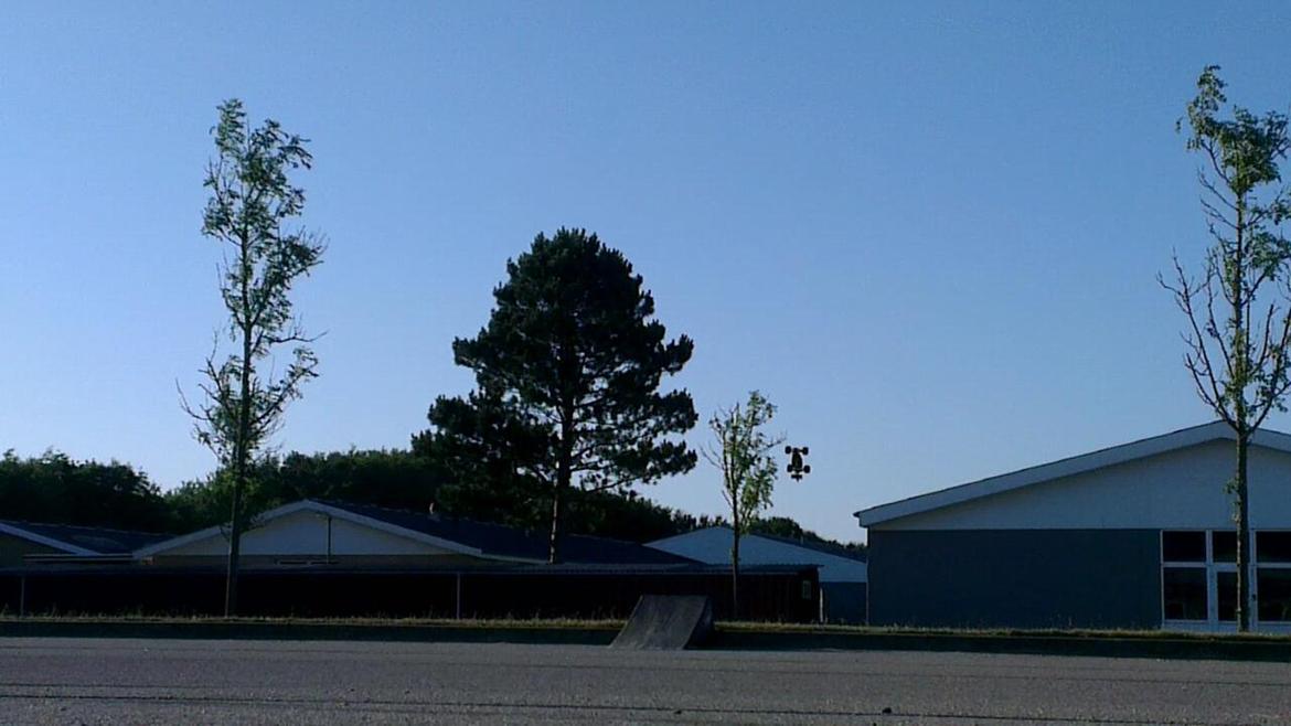 Bil Traxxas E-Revo vxl 1/16 billede 21