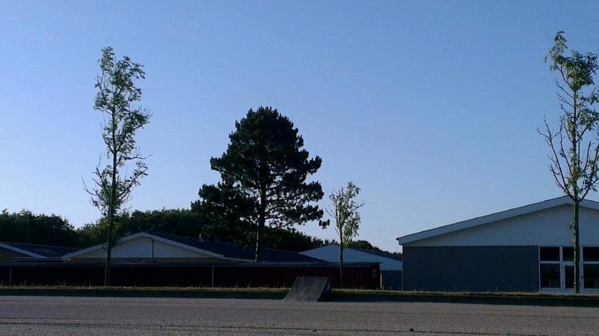 Bil Traxxas E-Revo vxl 1/16 billede 23