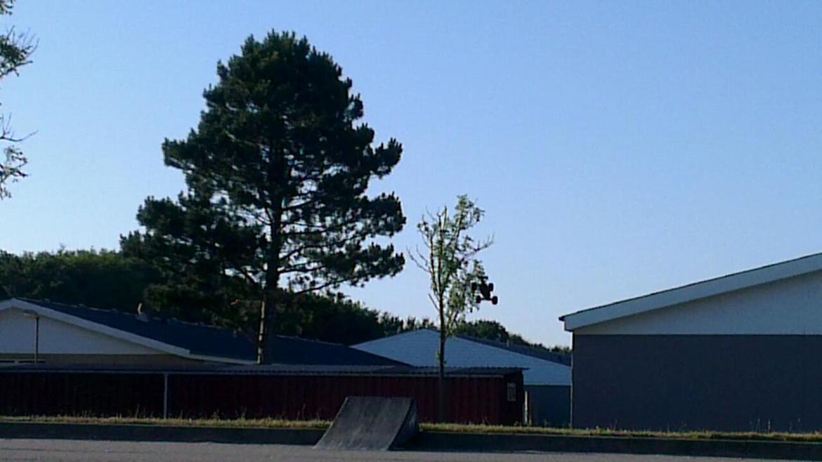 Bil Traxxas E-Revo vxl 1/16 billede 26