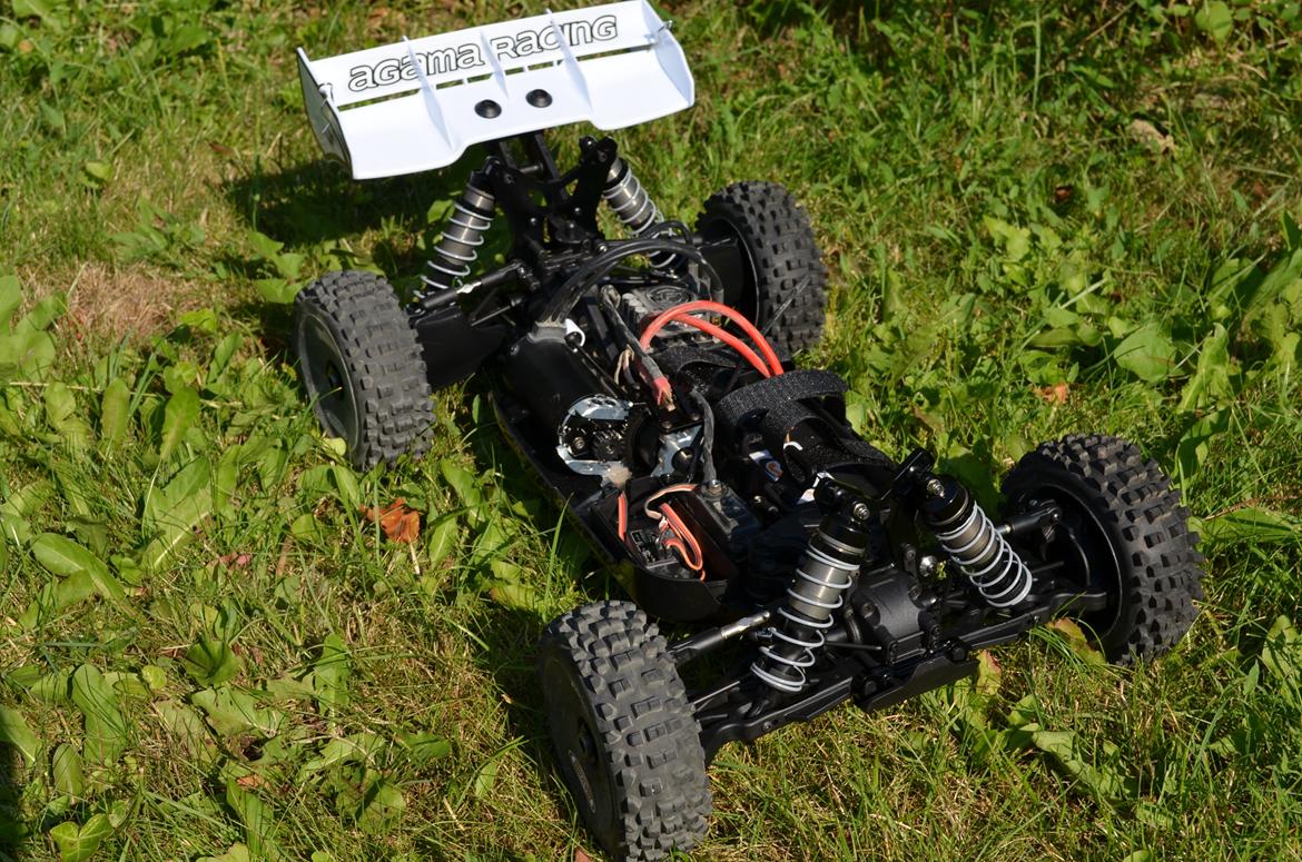 Buggy aGama A8-EVO E billede 14