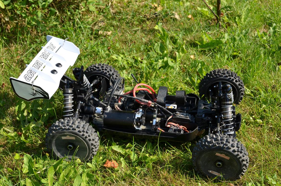 Buggy aGama A8-EVO E billede 15