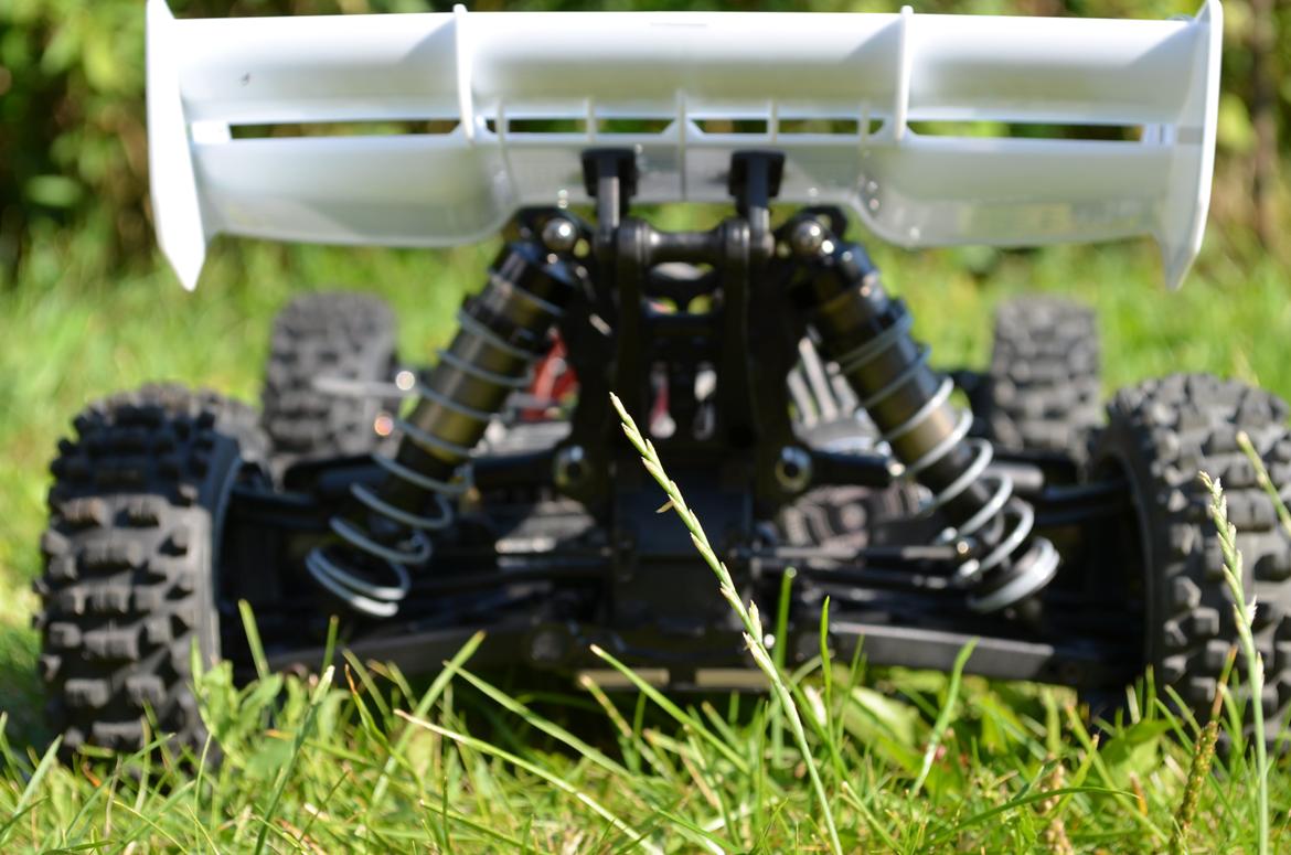 Buggy aGama A8-EVO E billede 21