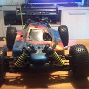 Buggy gv rex