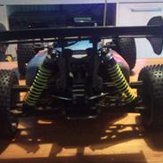 Buggy gv rex