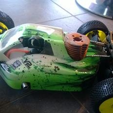 Buggy Hot Bodies D8 Hara Edition