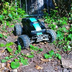 Off-Roader savage flux xs