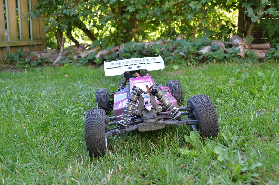 Buggy aGama A8-EVO E billede 11