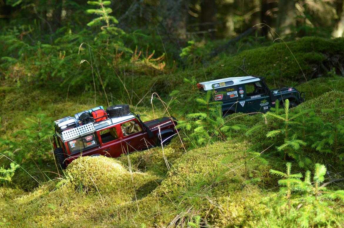 Off-Roader Land Rover Mex II D110 billede 10