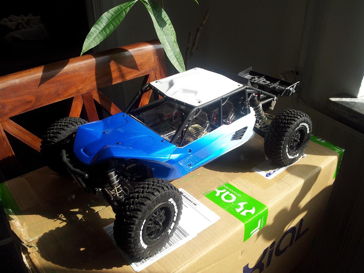 Buggy Axial Exo Terra Buggy billede 14