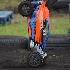 Buggy Elcon Cleon 08 MMX