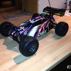 Buggy Kyosho DBX