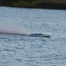 Båd Tenshock magic cat carbon