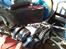 Buggy Elcon Cleon 08 MMX