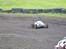 Buggy Elcon Cleon 08 MMX