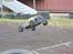 Buggy Elcon Cleon 08 MMX