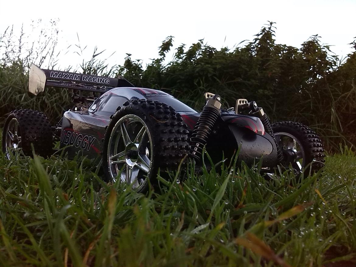 Buggy Maxam 1/16 buggy billede 1