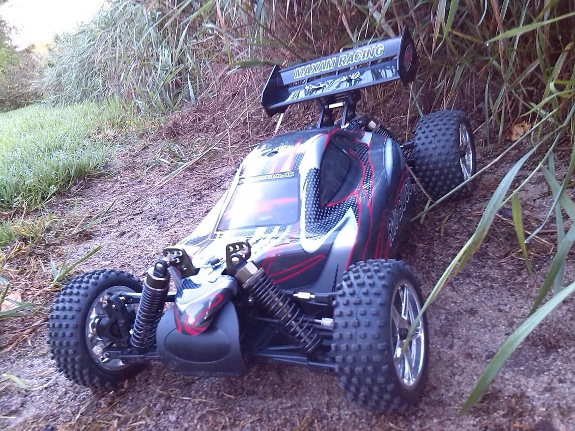 Buggy Maxam 1/16 buggy billede 4