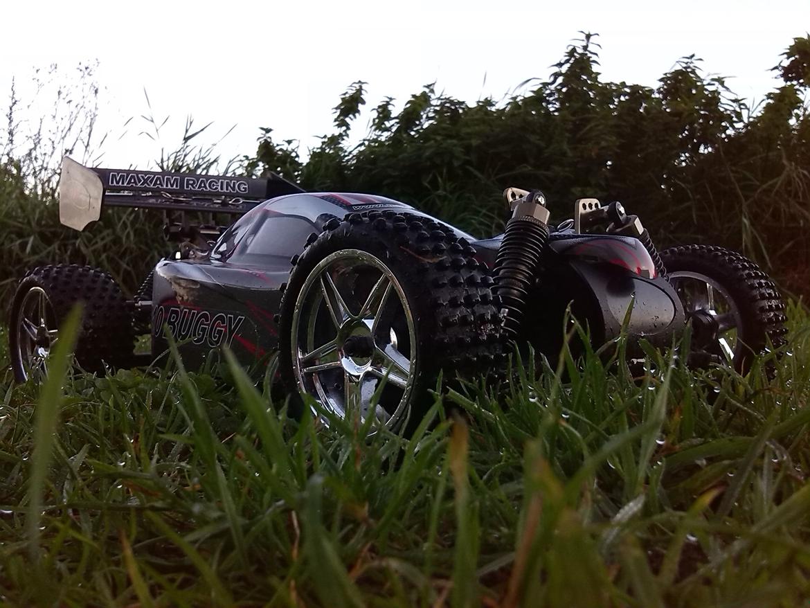 Buggy Maxam 1/16 buggy billede 9