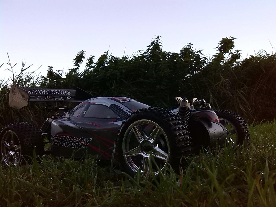 Buggy Maxam 1/16 buggy billede 10