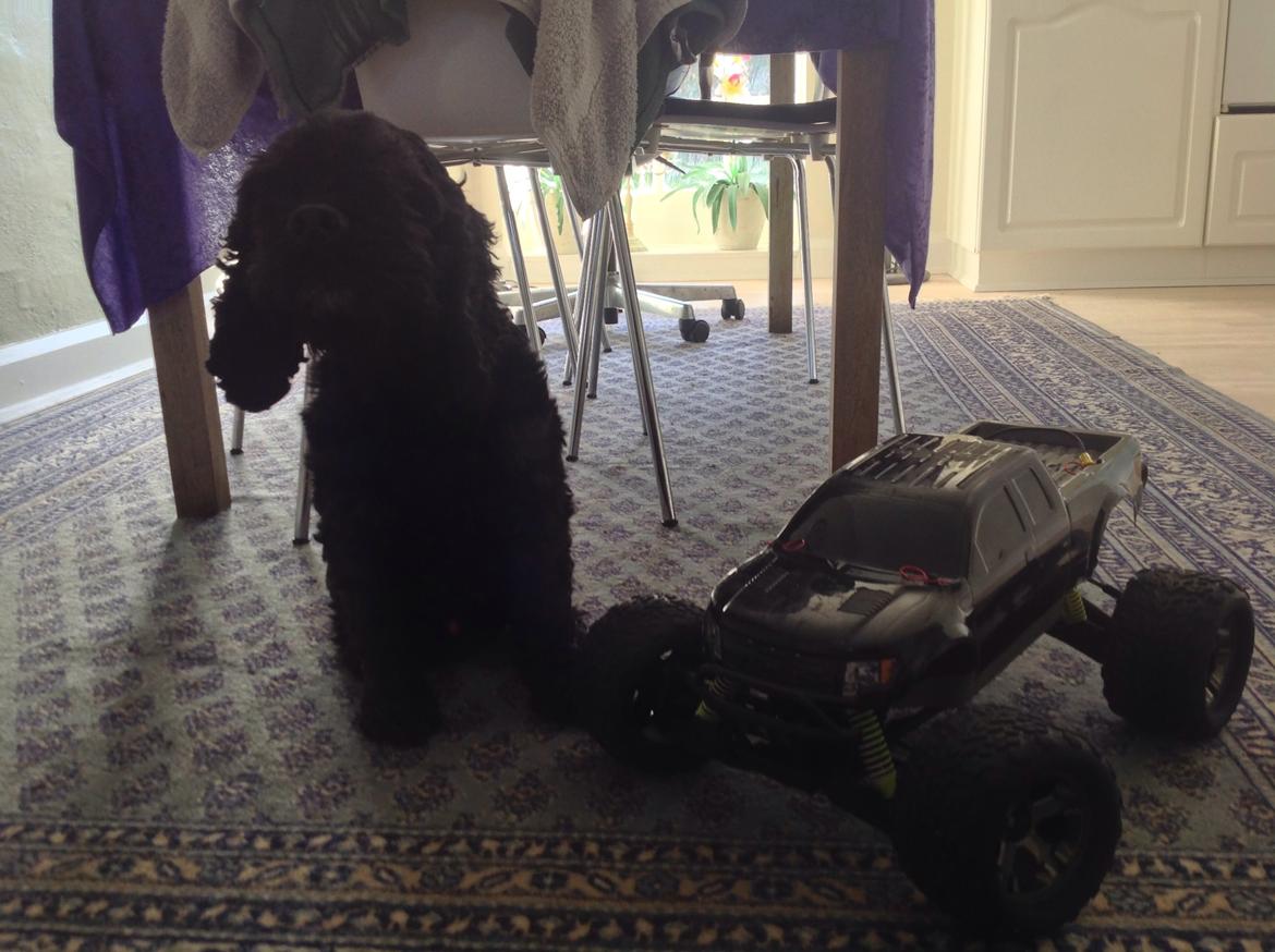 Truck Traxxas stampede 4x4 VXL billede 8