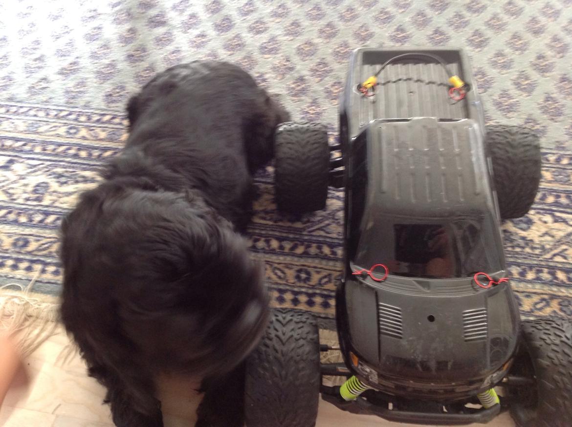 Truck Traxxas stampede 4x4 VXL billede 9