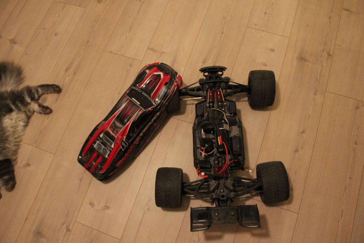 Off-Roader Traxxas E-REVO Brushless edition *Hunden* billede 7