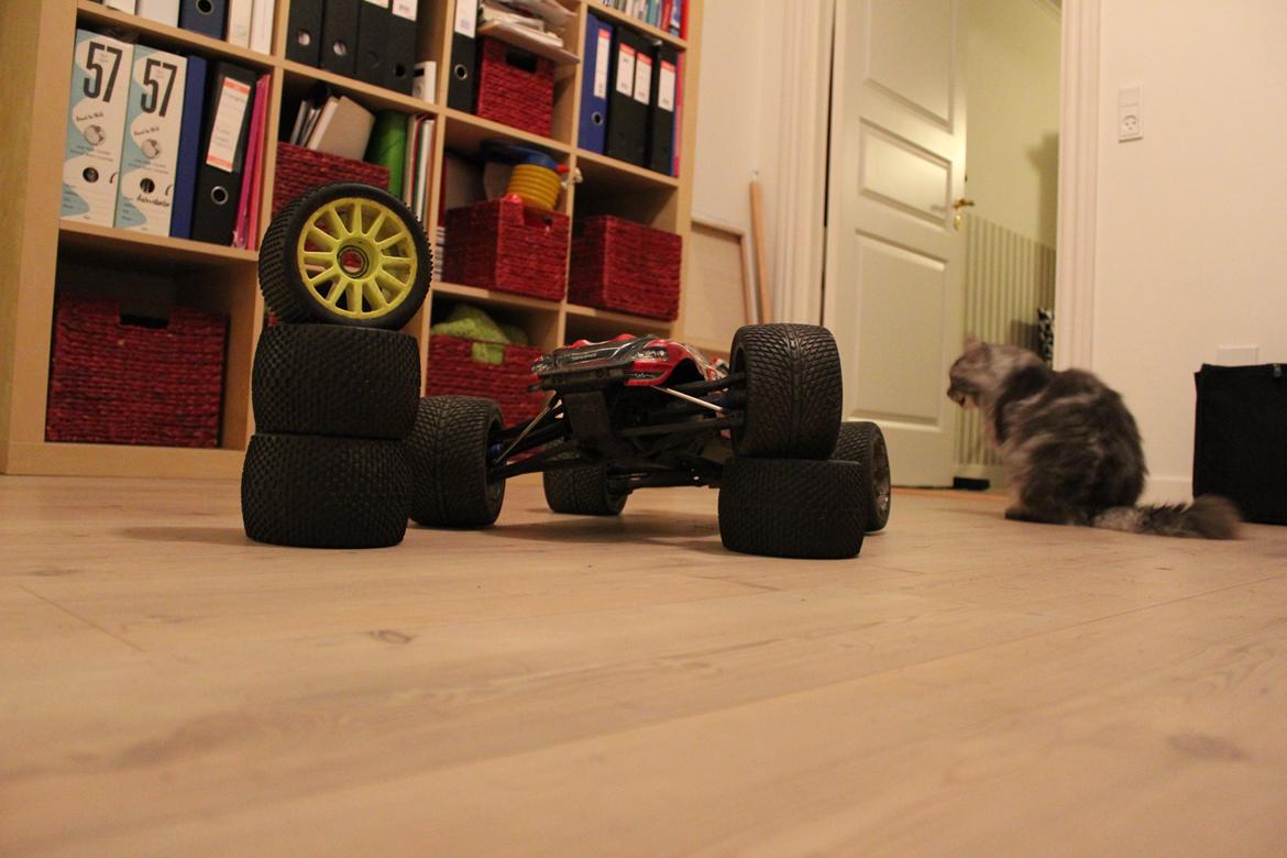 Off-Roader Traxxas E-REVO Brushless edition *Hunden* billede 9