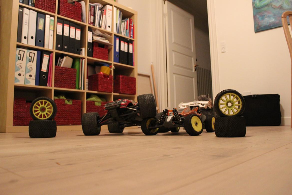 Off-Roader Traxxas E-REVO Brushless edition *Hunden* billede 10