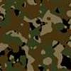 RC ARMY