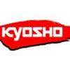 Kyosho FW-06 - FW-05T - Pure Ten Fazer