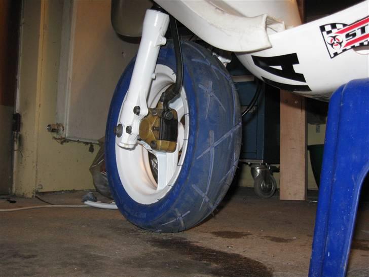 RANDOM PICS billede 1