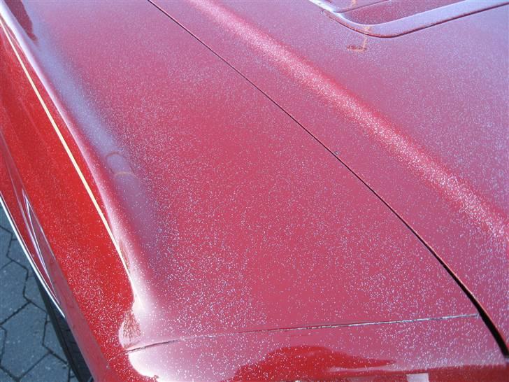 Amerikaner træf i næstved 23-05-09 billede 47