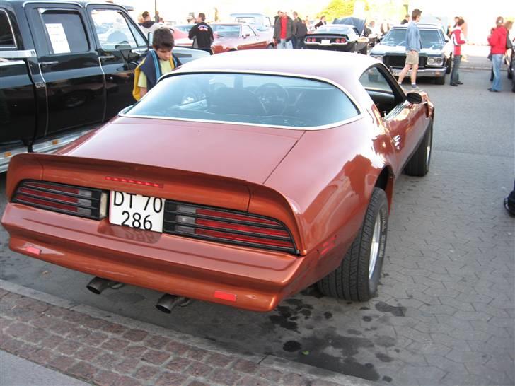 Amerikaner træf i næstved 23-05-09 billede 65