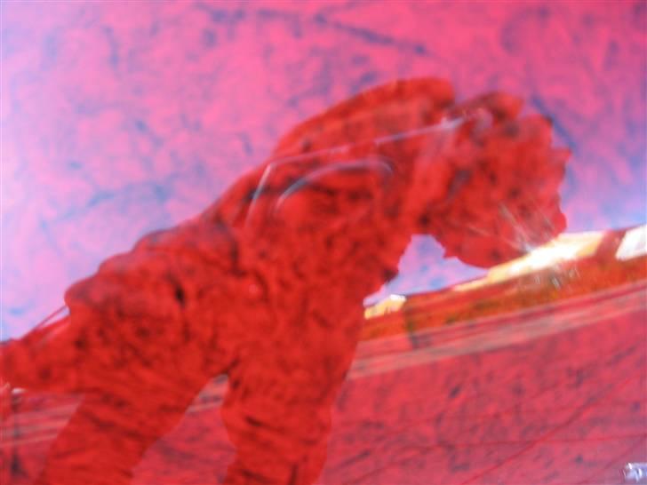 Amerikaner træf i næstved 23-05-09 billede 79