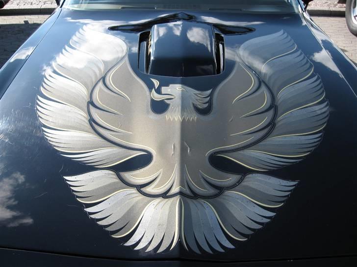 Amerikaner træf i næstved 23-05-09 billede 107