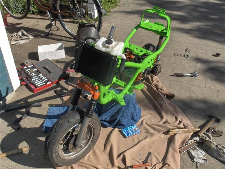 Polini evo 2 lc bane jog (solgt) billede 15