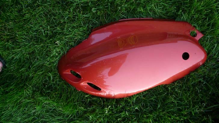 PGO PMX skjolde billede 8