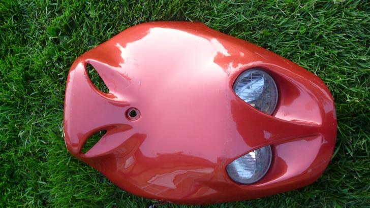 PGO PMX skjolde billede 13