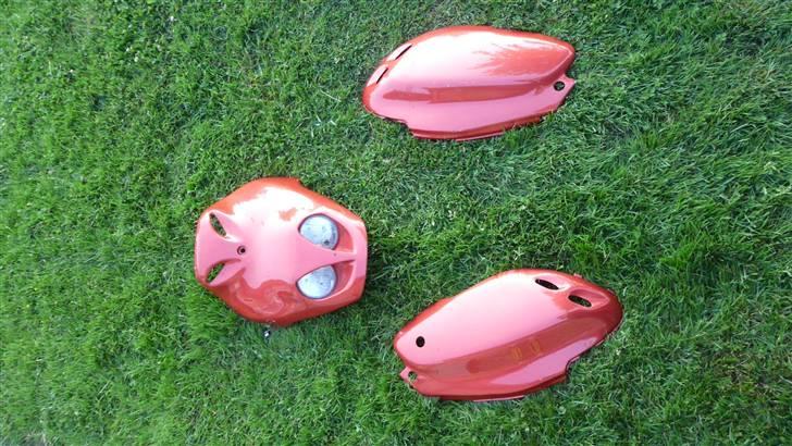 PGO PMX skjolde billede 1