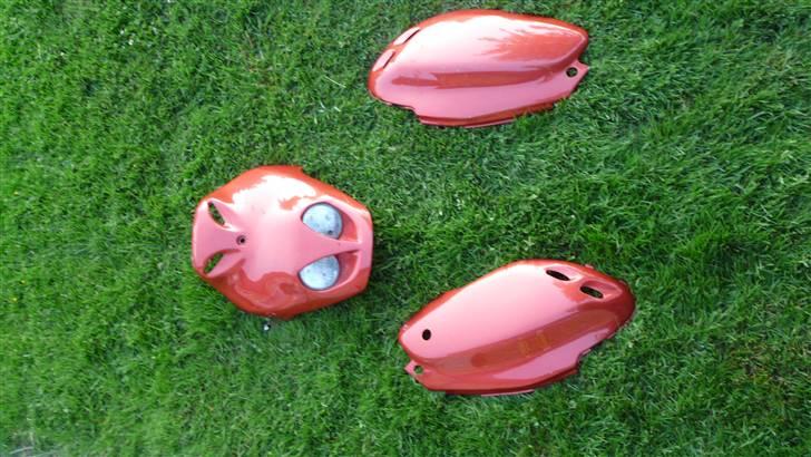 PGO PMX skjolde billede 14