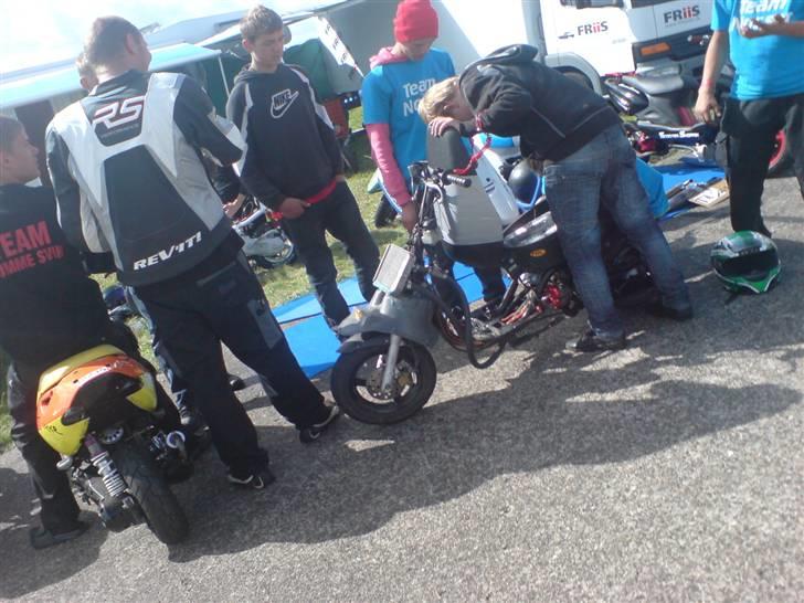 DHS 09 billeder af Team nosser og Team dumme svin :P billede 7