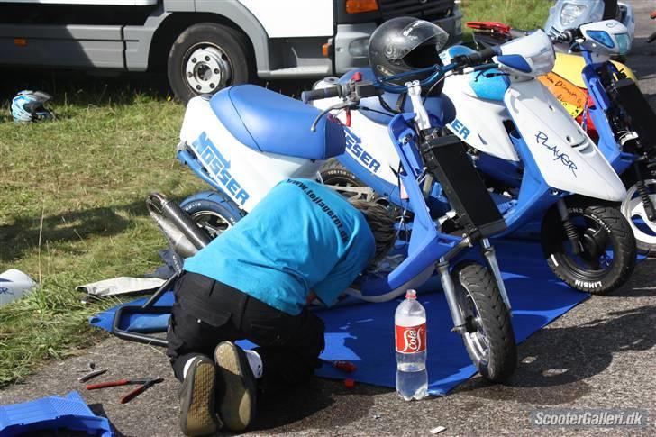 DHS 09 billeder af Team nosser og Team dumme svin :P billede 37