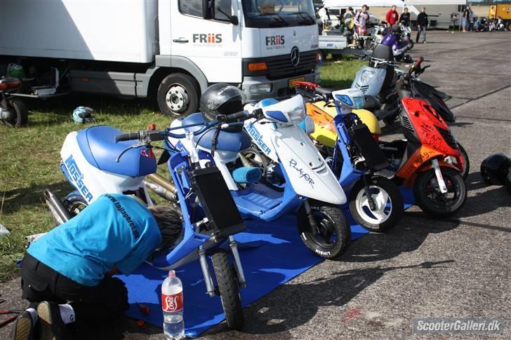 DHS 09 billeder af Team nosser og Team dumme svin :P billede 39