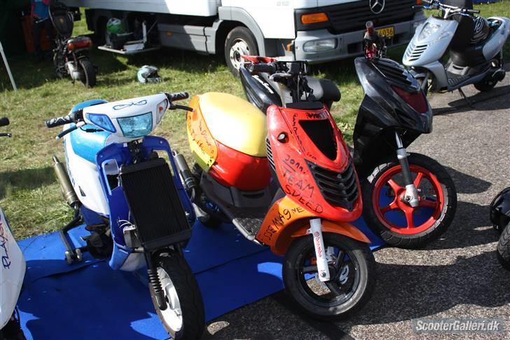 DHS 09 billeder af Team nosser og Team dumme svin :P billede 40